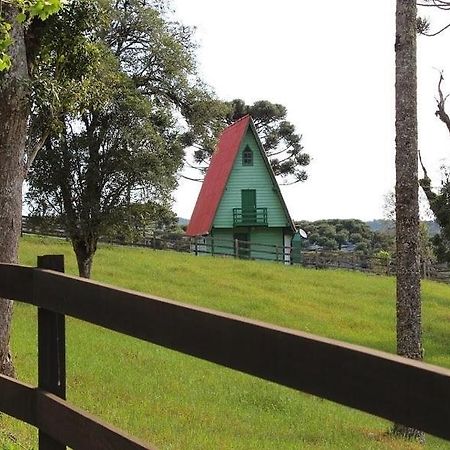 Sítio Arapongas Vila Campo Alegre  Exterior foto