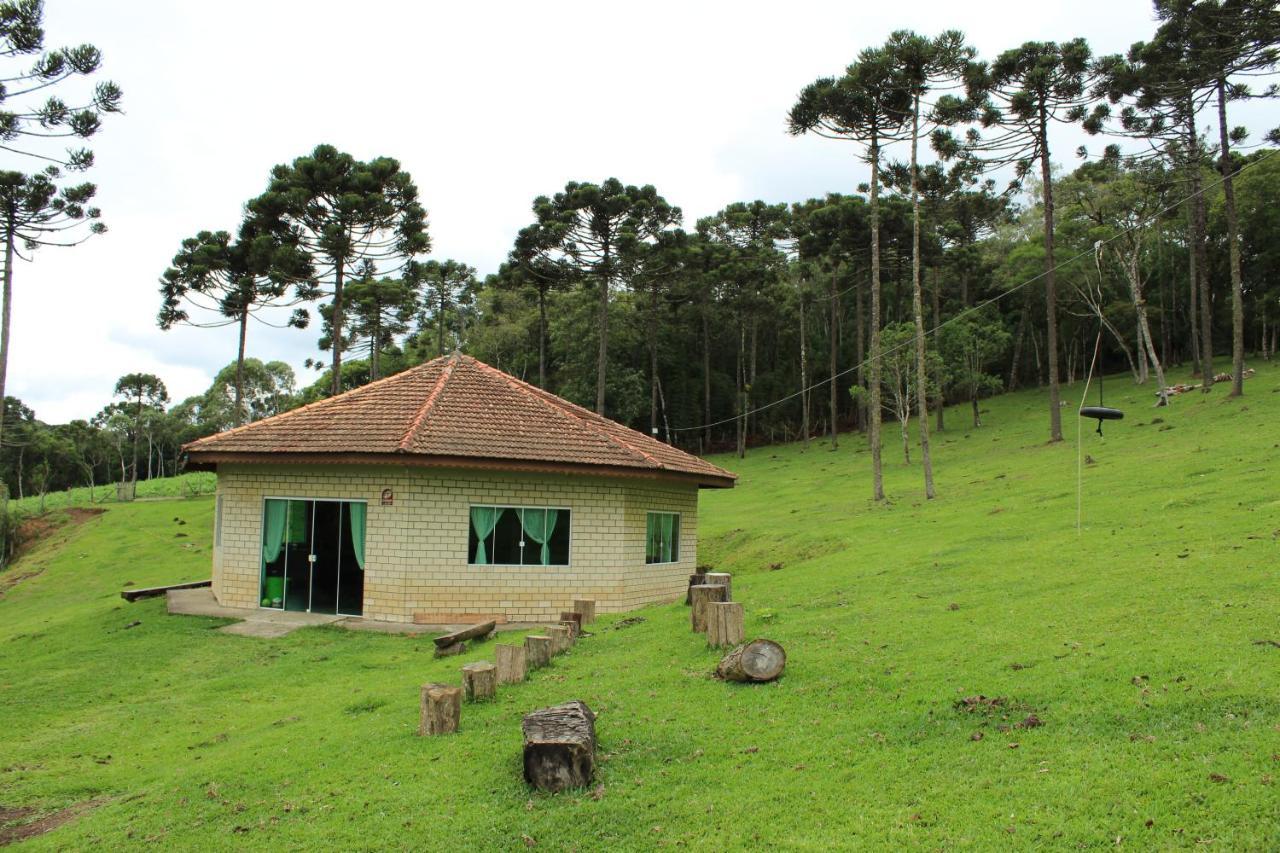 Sítio Arapongas Vila Campo Alegre  Exterior foto