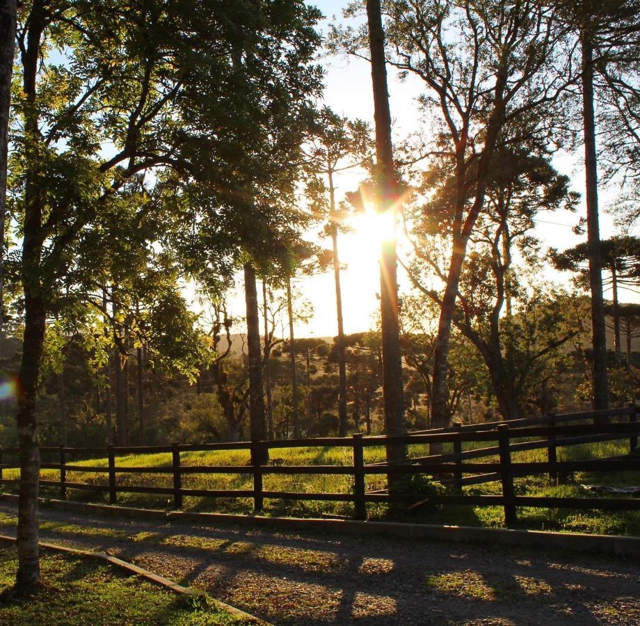 Sítio Arapongas Vila Campo Alegre  Exterior foto